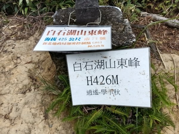 內湖區大丘田保甲路+開眼山+白石湖山+白石湖山東峰+大邱田山+消防山O型2858935