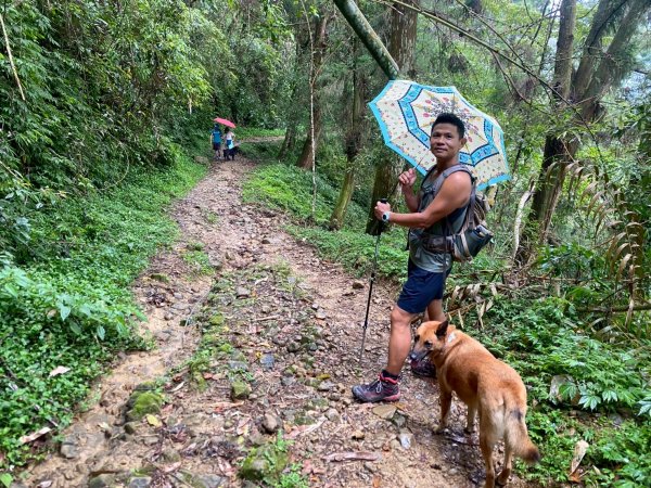 溪頭山-竹崙山-志騰山【夏日最愜意的避暑路線】2891489