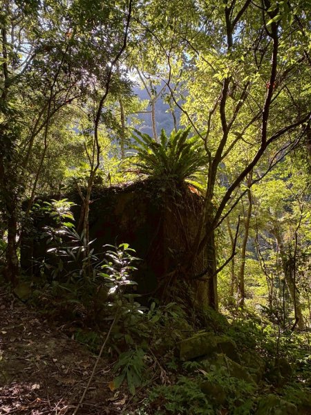 南庄鵝公髻山東河線2970572