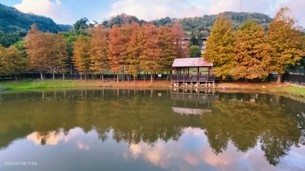 #花卉試驗中心 #永公路500巷 #平菁街42巷 #原住民公園 #士林官邸 1/42979254