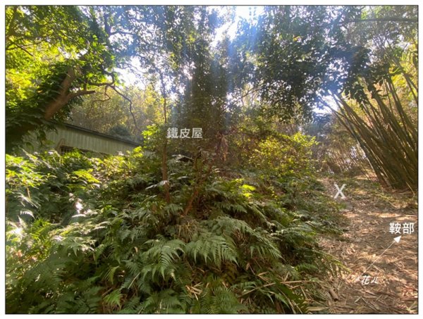 后里 七星山 新發現基石2990047