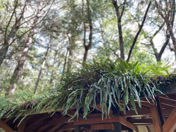 向陽日出，嘉明湖光2865066