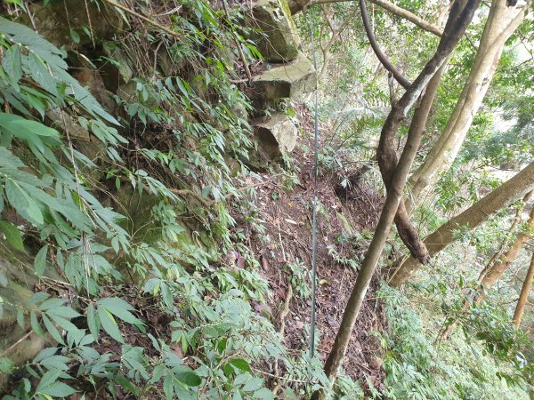 鵝公髻山西南峰鵝公髻山O型1626821