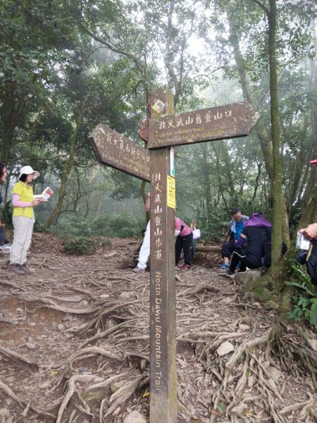 南疆聖山~五岳之北大武山1188875