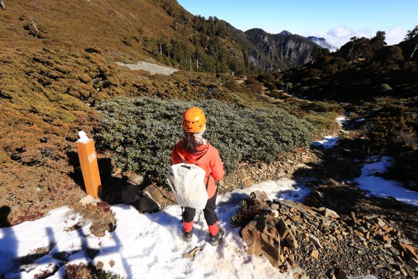 雪山‧甘木林山1250022