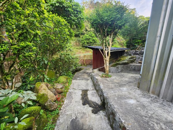 20250404雙十縱走失敗撤退改走蝙蝠山2892546