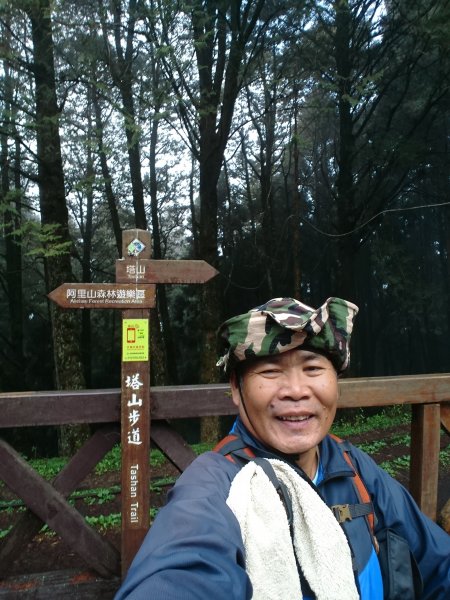 大塔山步道907510