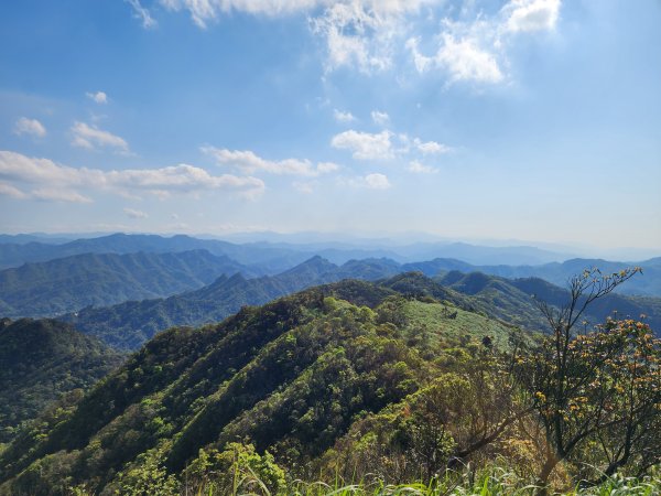 20250322-姜子寮山2740005