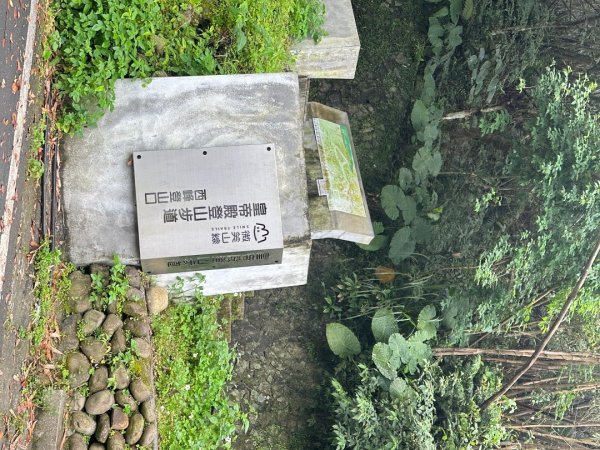 皇帝殿202603293035859