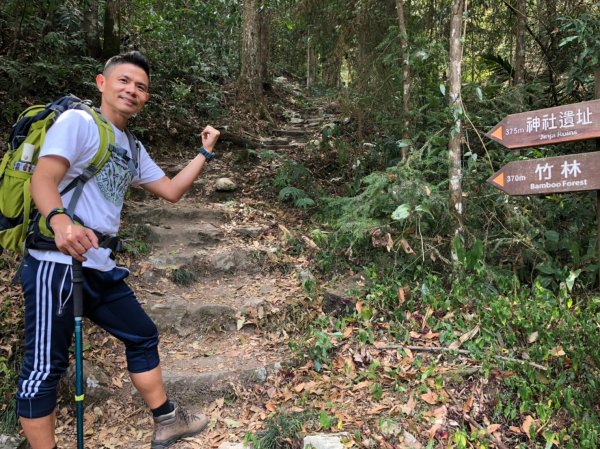 八仙山森林遊樂區【與藍腹鷴漫步在春光裡】531612