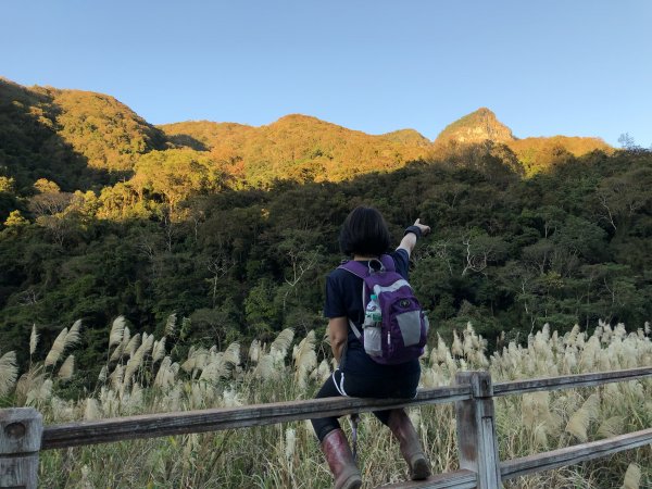 爬虎山話虎爛 水雲三星之首虎山行