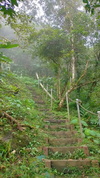 竹子尖山/獵鷹尖一線天環狀1464611