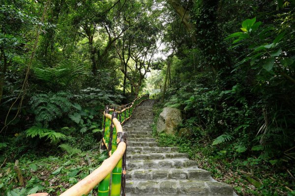 臺北 士林 玉稠湖山、石角山、白雲山、天母山2496037