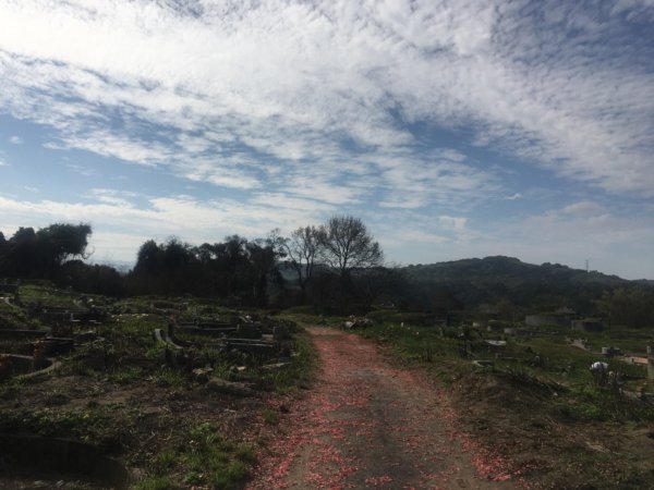 仙山（靈洞宮、協靈宮2723183