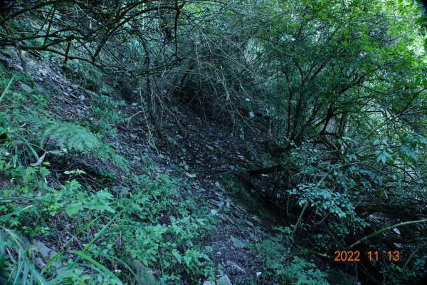 南投 仁愛 再生山(安達山)1913689