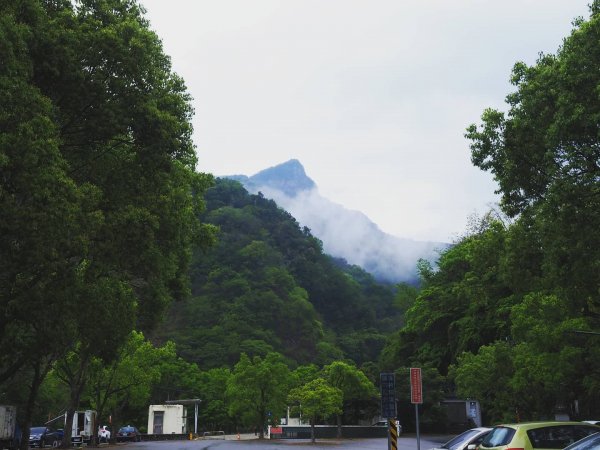 泰安-虎山封面