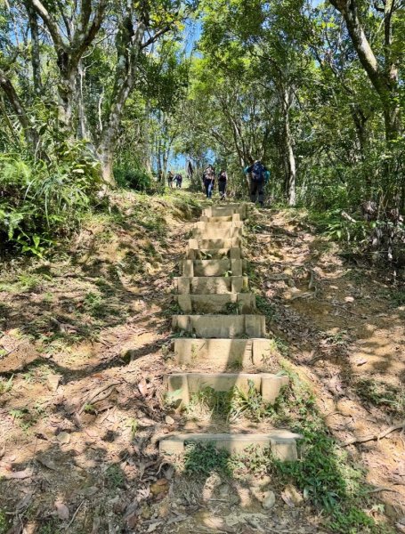 二格公園走小格頭獅頭山 千島湖看鱷魚 雲海國小爬雲海山回二格公園3134080
