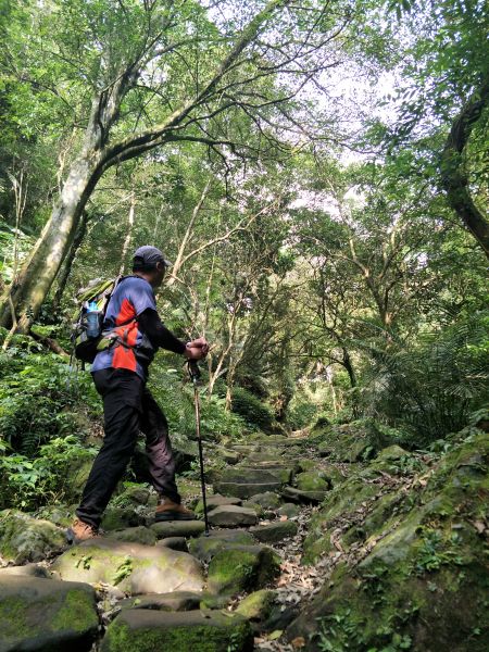 2018 05 14 鳴鳳山古道331640