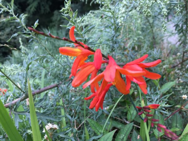 男子漢夢想成真之能高越嶺西段 奇萊南峰 南華山遊記383812