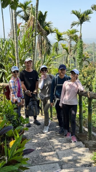 嘉義-圳北古道2763669