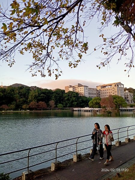 內湖瑞陽公園、碧湖公園、大港墘公園2416881