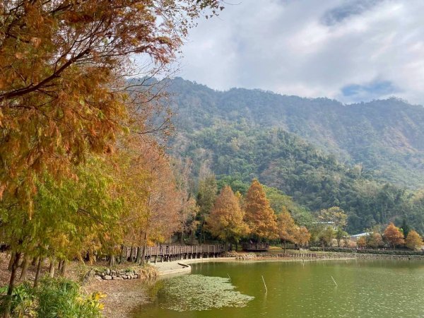 🌈1/17（六）蔡家古厝賞梅×梅子夢工廠×車埕老街✨FB：熊熊趴爬走🌈2983903