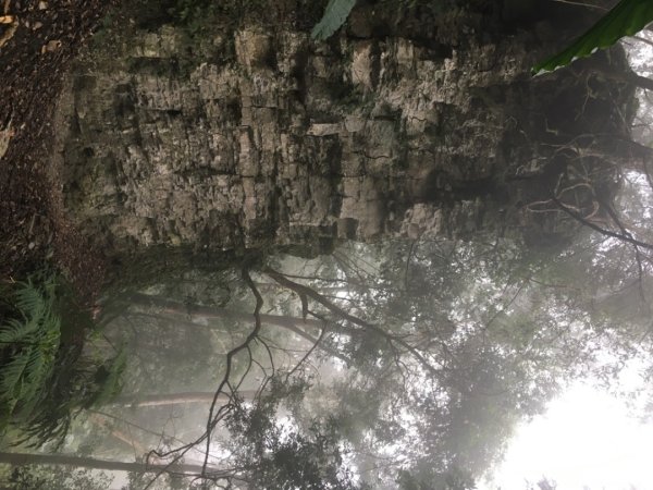 鳥嘴山（上島2708571