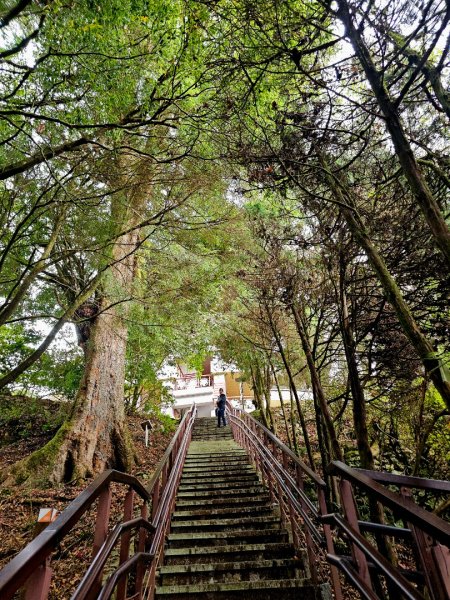 大雪山森林遊樂區森林浴步道-(台中)臺灣百大必訪步道2655167