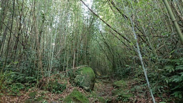 馬拉邦山上湖登山口O型走1069018