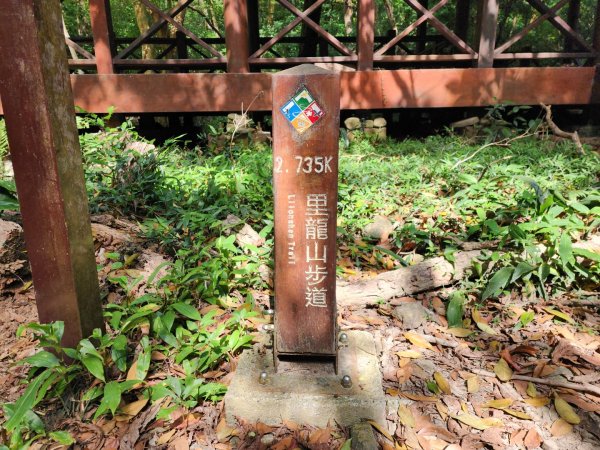 小百岳No.80⛰里龍山2776345