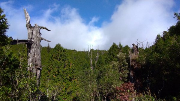 湖光山色－翠峰湖環山步道708042