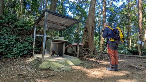鳳凰山步道（溪頭）2838229