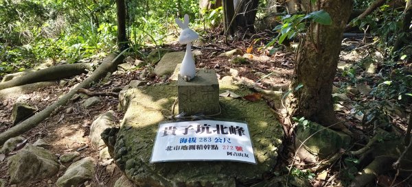 2025/09/13_貴子坑親山步道2884156