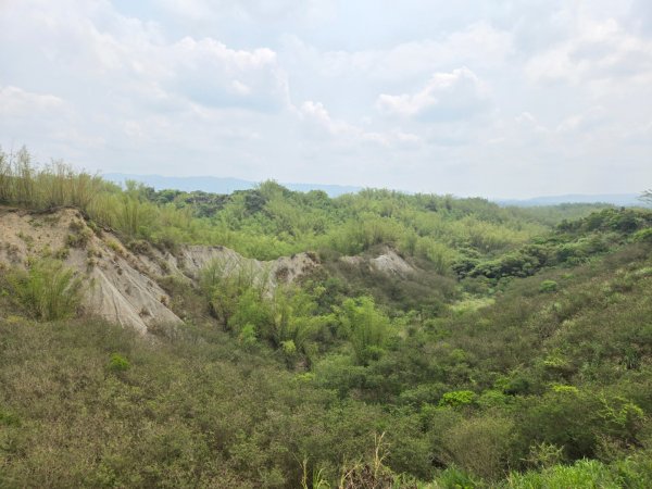 2025-04-07 左鎮後坑古道（牛港嶺）2757652