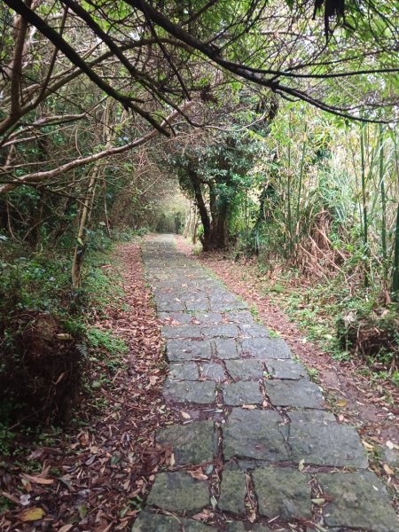 240125中正山、頂湖山群峰縱走2409575