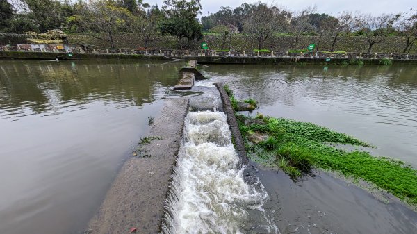 新竹關西亂亂走2422384