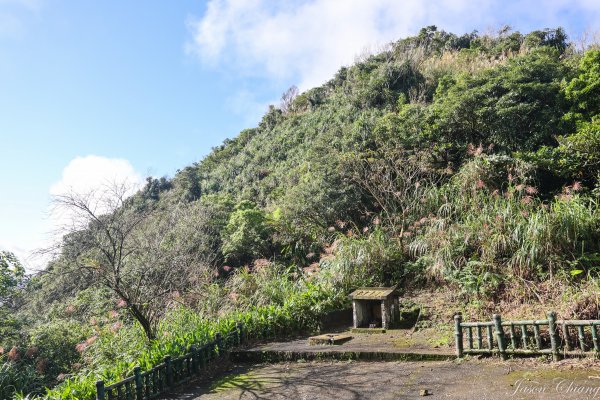 [新北]金字碑古道、燦光寮古道1909080