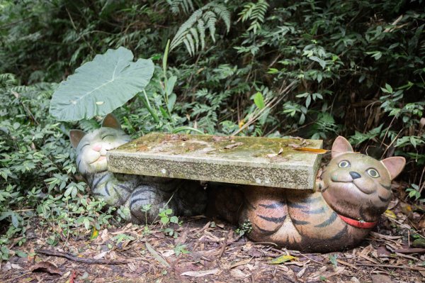 台北大縱走第七段 指南宮千階步道-樟山寺1742857