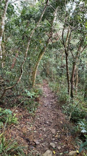 2025 12/27 鳴海山2970995