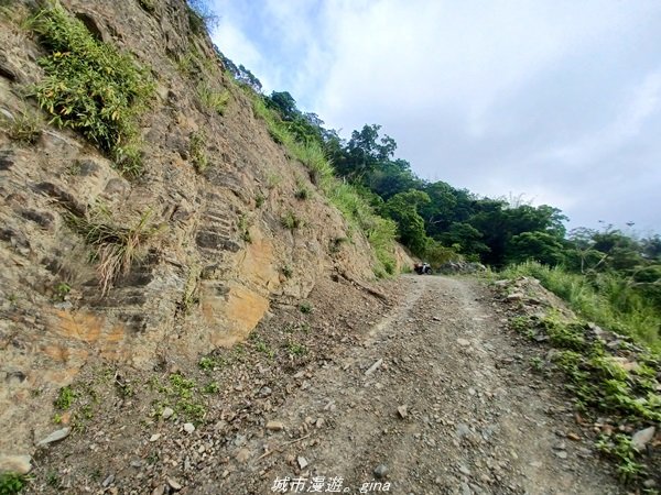 【高雄甲仙】沒有朵朵白雲。 小百岳集起來。 編號69小百岳-白雲山步道1713230