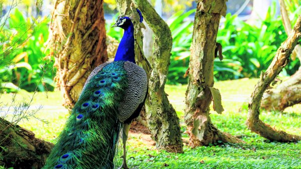 豐之谷,理想大地,林田山,立川漁場3007274