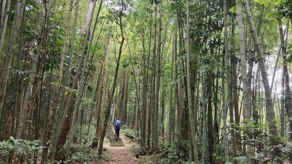 嘉義四大天王之四天王山與知鳥山2559362