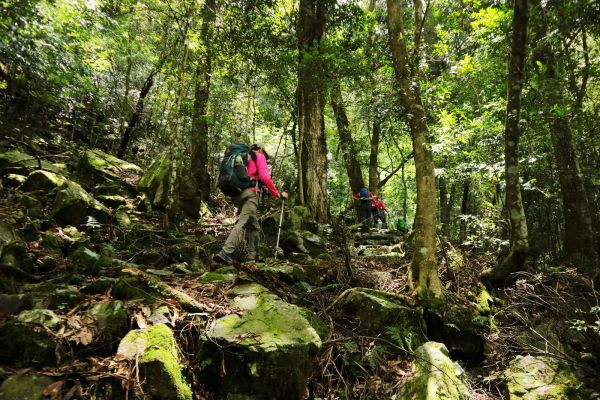 世紀奇峰~大霸群峰之旅378966