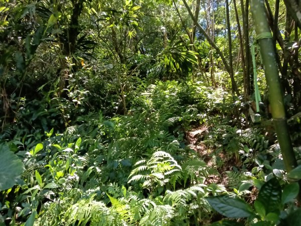 平溪區灰窯山驚險岩稜+司公碗帽山O型2897924