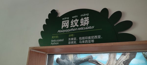 杭州動物園3089160