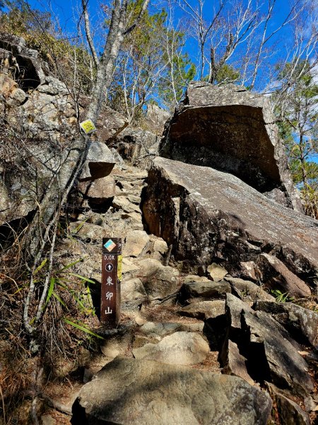東卯山-谷關七雄(老五)2991596