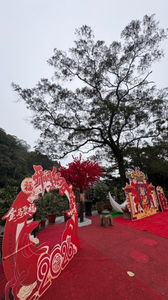 太、清、石2994660