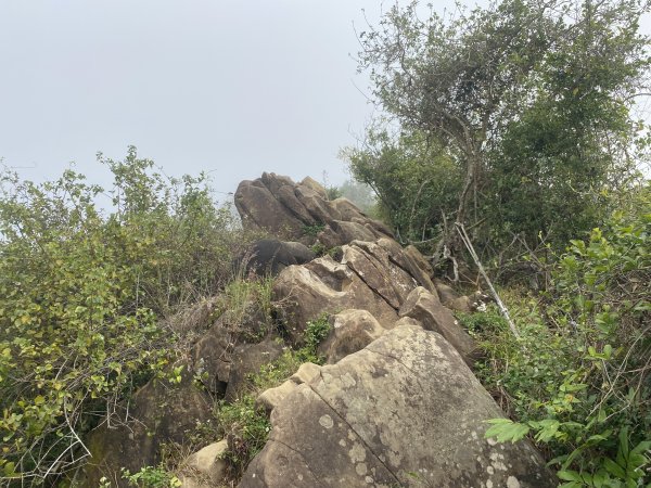 旗尾山、靈山、月光山連稜縱走2711713