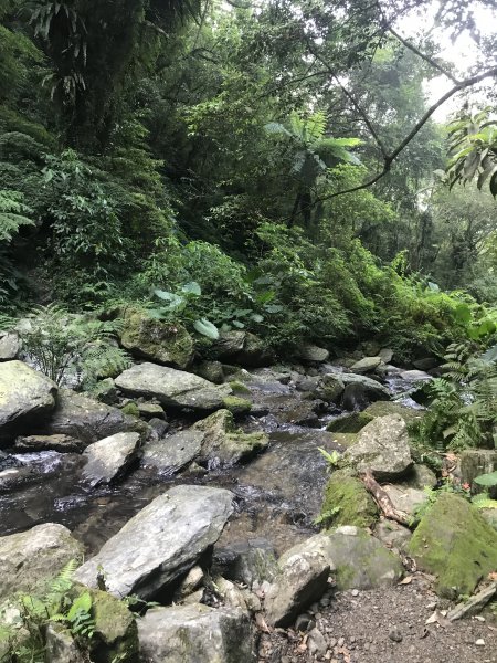 哈盆古道-波露南山-波露山O型走1475866