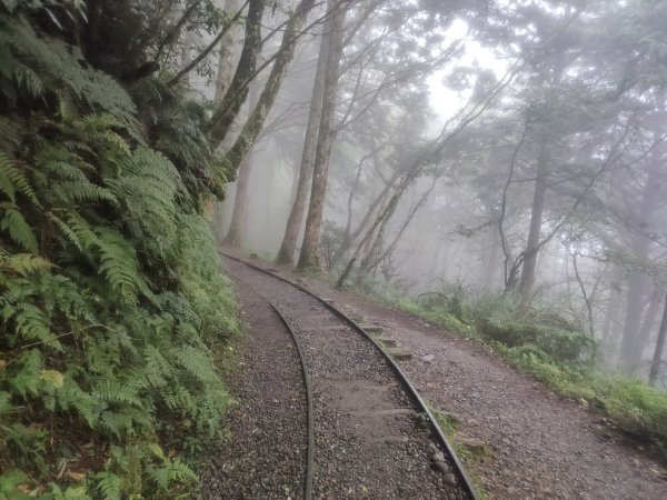 1150728太平山見晴懷古步道3096857